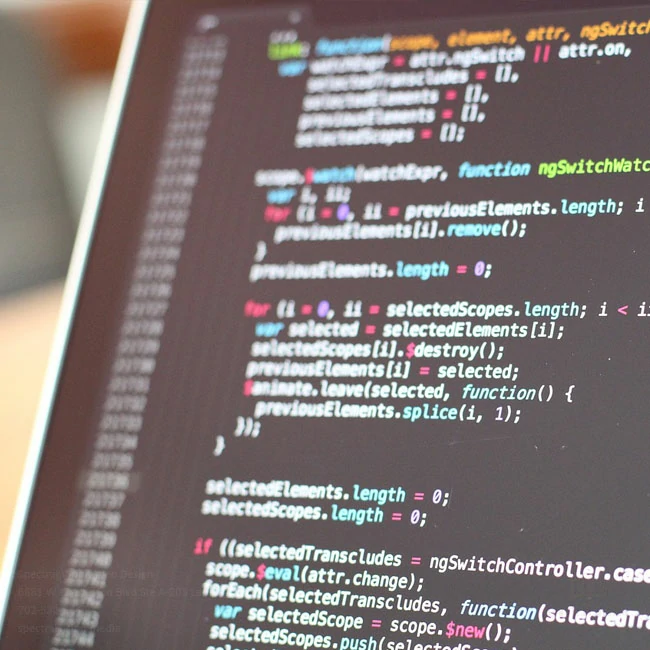 Website maintenance doesn't need to cost an arm and a leg.