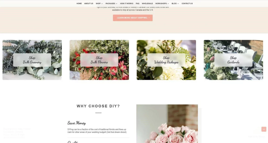 Website Design Summerlin